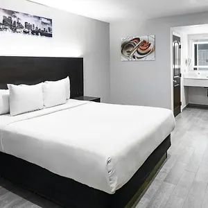 Hollywood Express Lax Stati Uniti